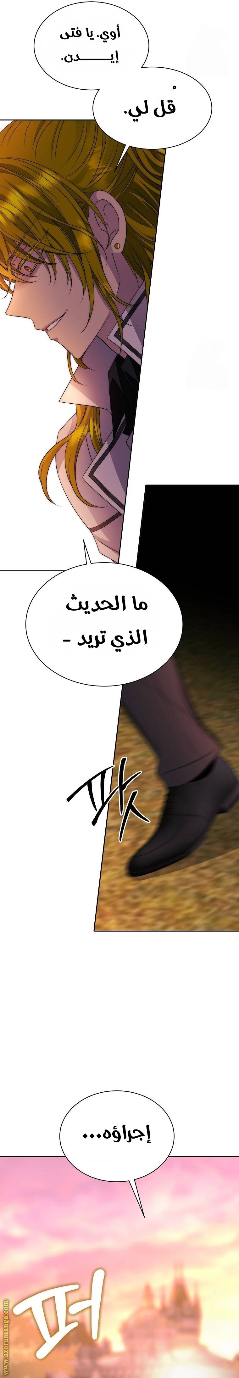 الصفحة 17