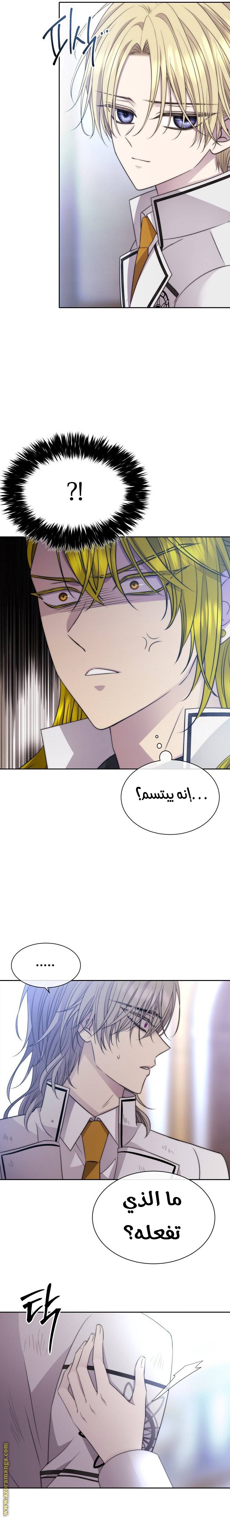 الصفحة 25