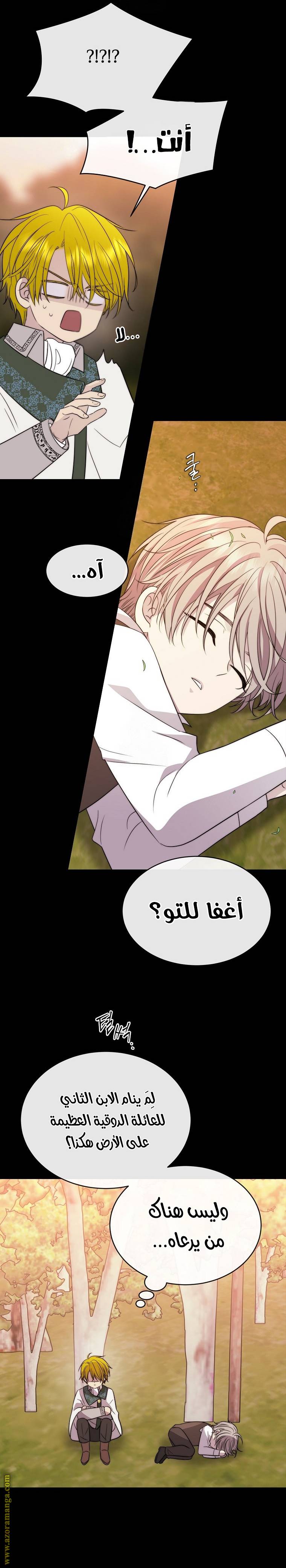 الصفحة 19