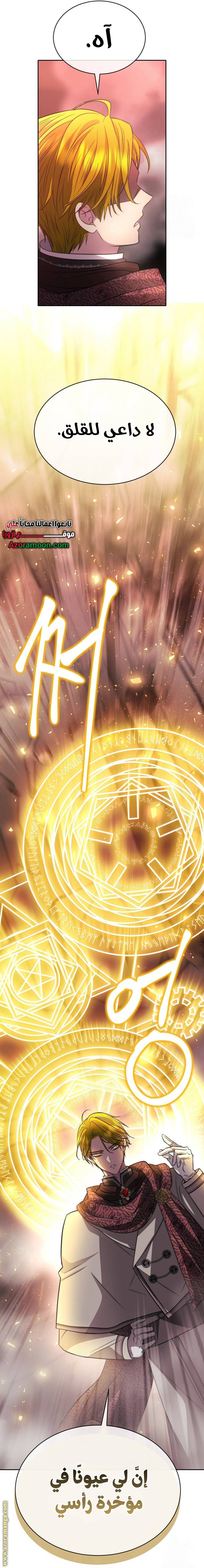 الصفحة 17