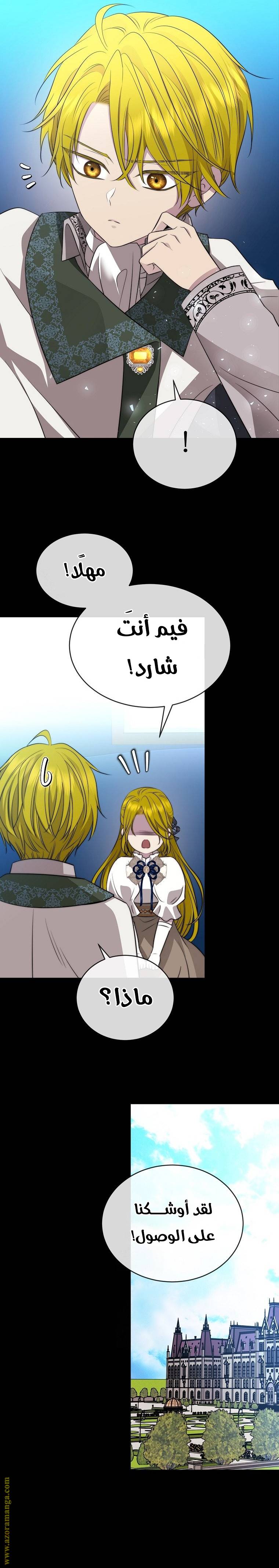 الصفحة 26