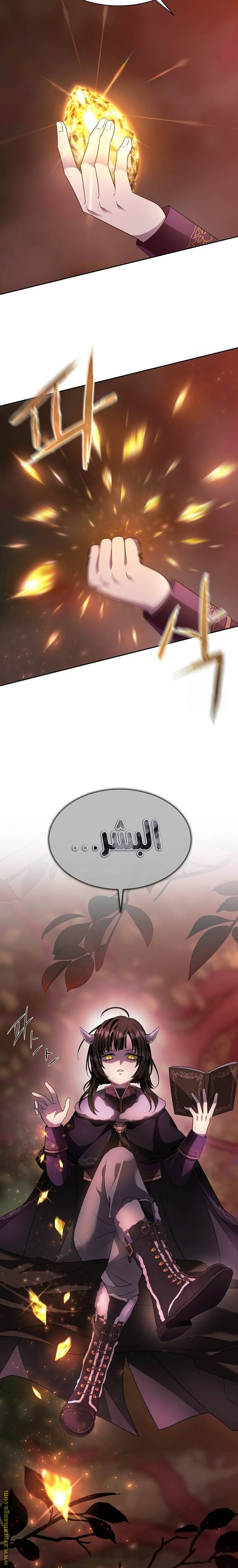 الصفحة 25