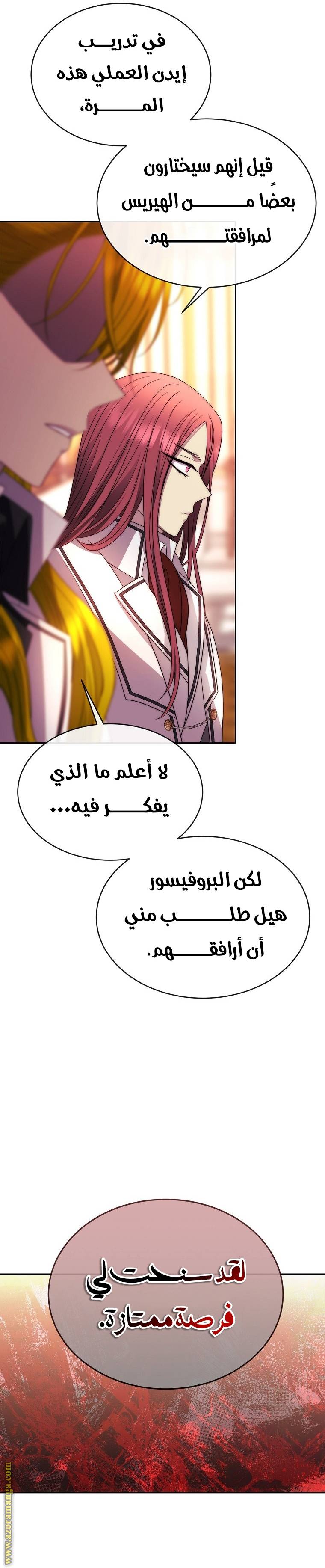 الصفحة 17