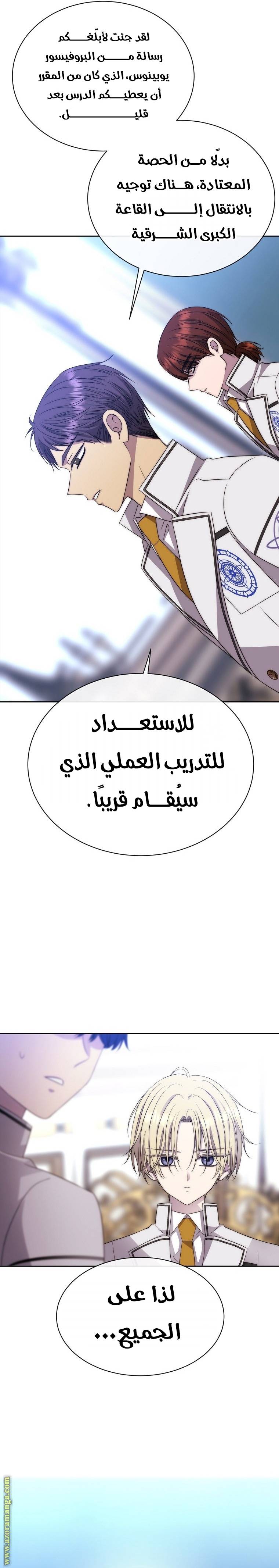 الصفحة 17