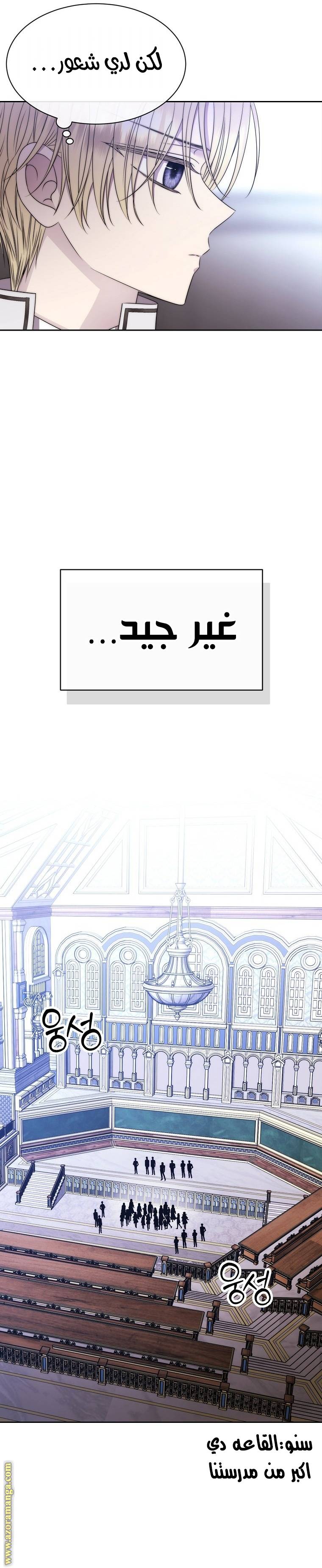 الصفحة 26