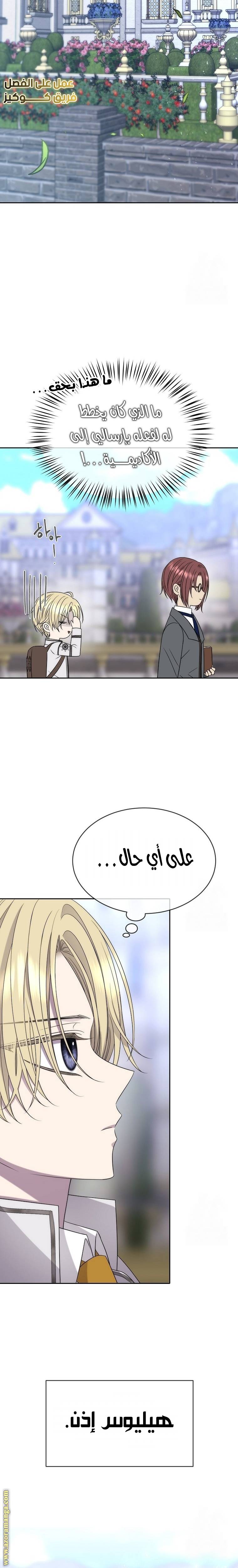 الصفحة 17