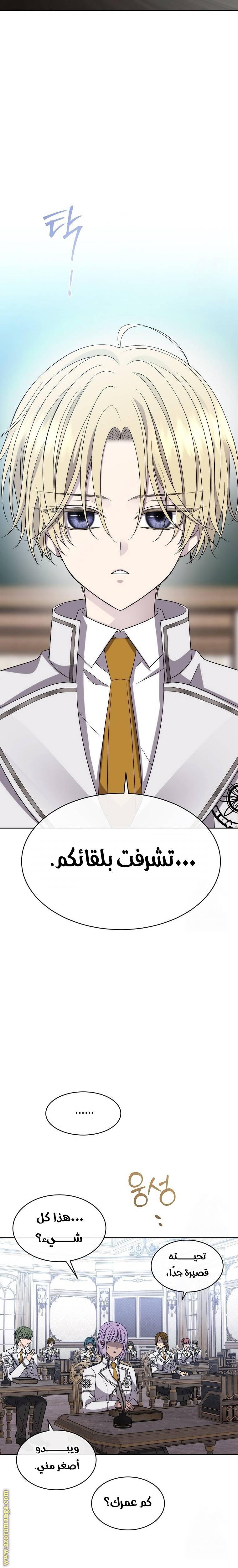 الصفحة 29