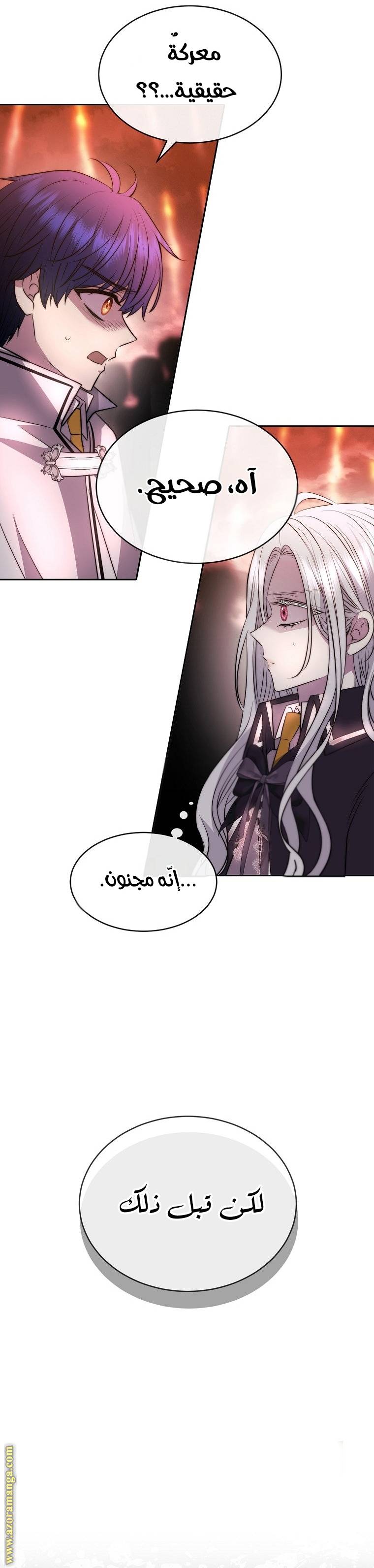 الصفحة 31