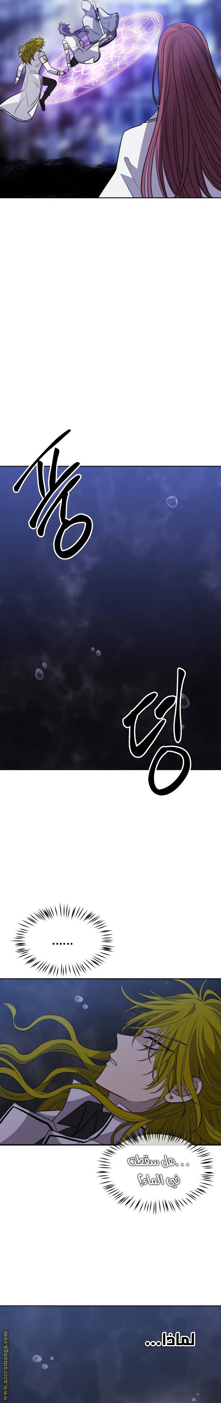 الصفحة 25