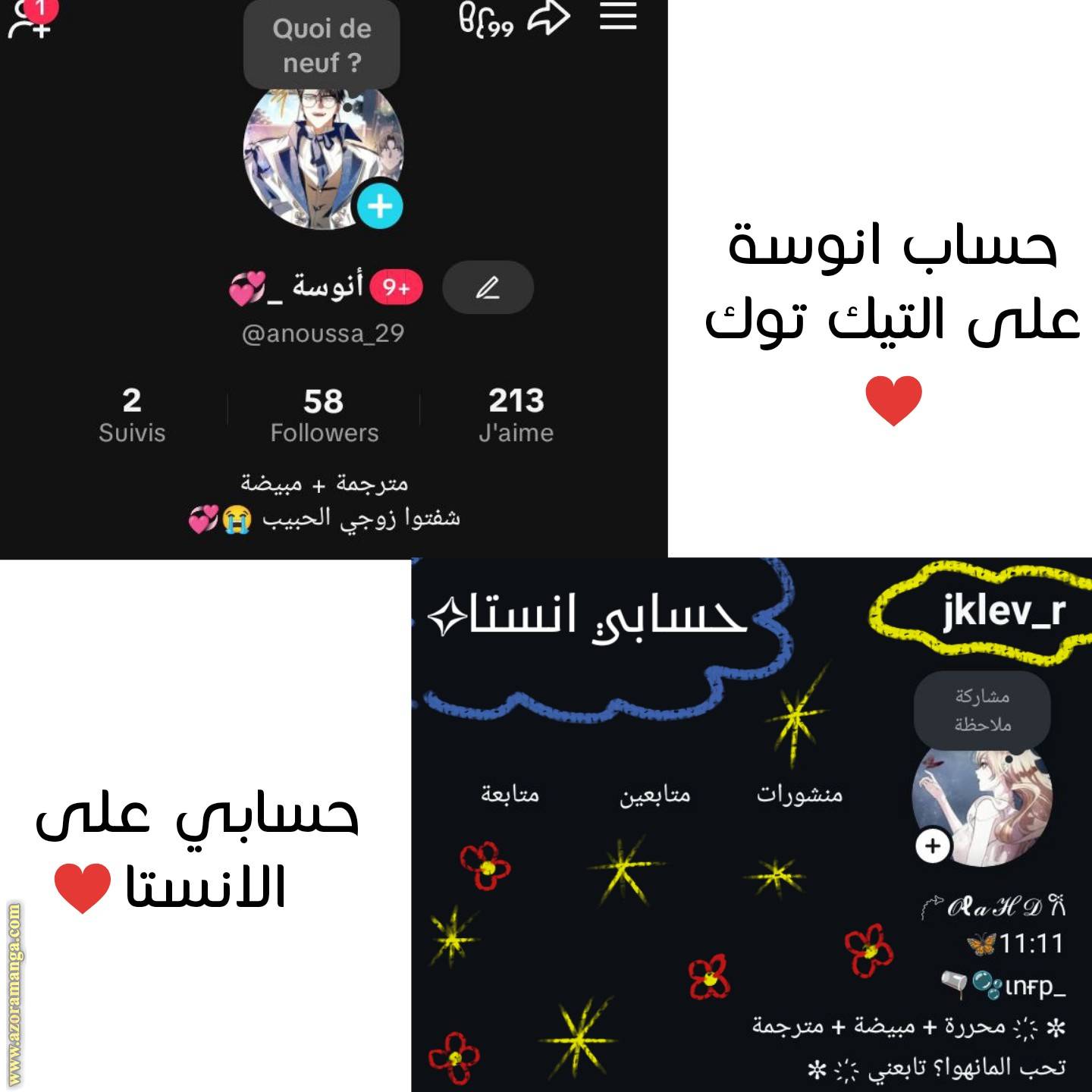 الصفحة 15