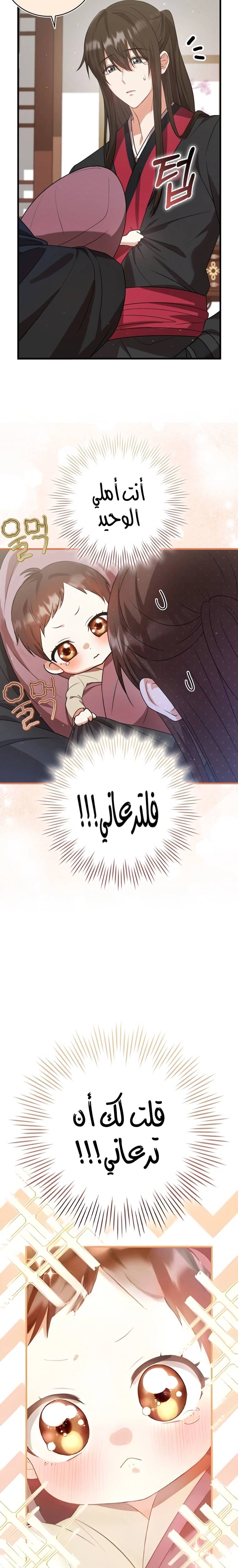الصفحة 27
