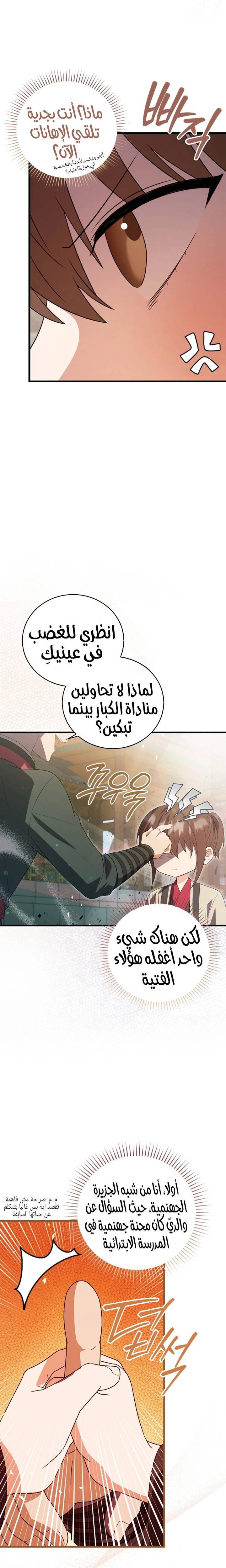 الصفحة 13