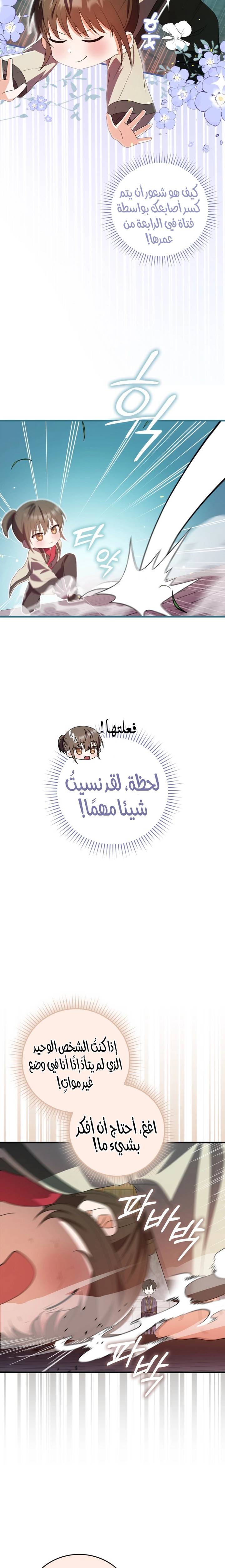 الصفحة 16