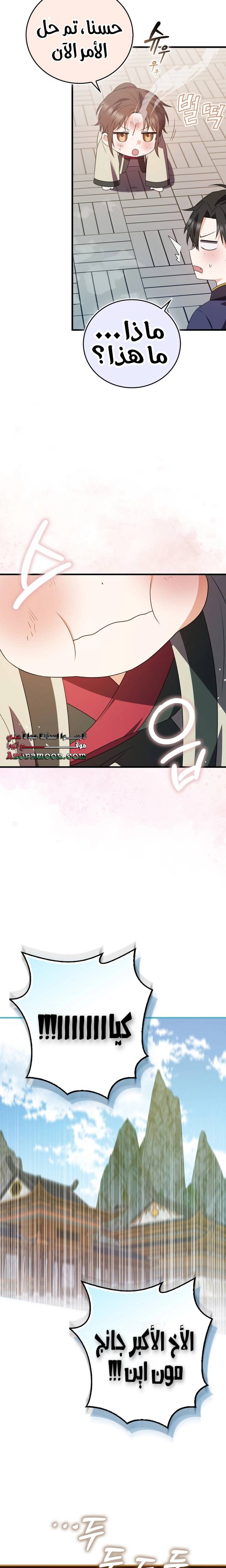 الصفحة 17