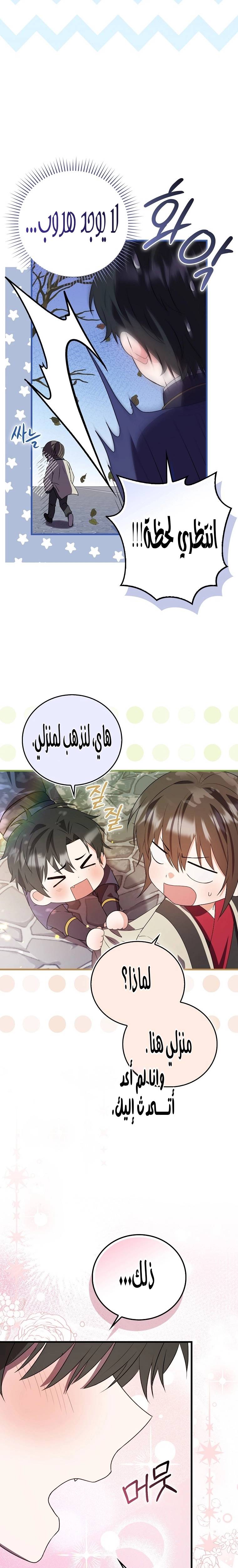 الصفحة 21