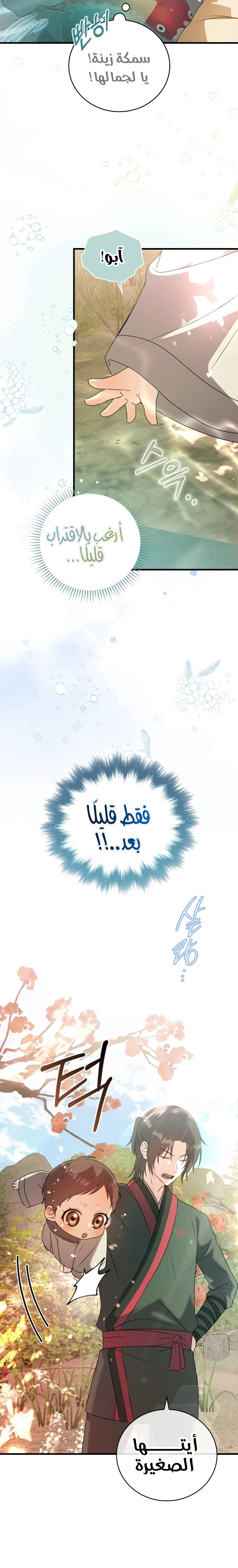 الصفحة 24