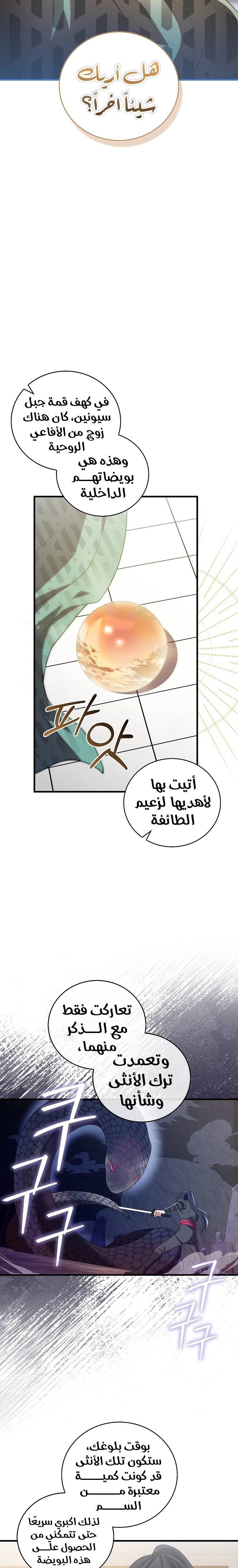 الصفحة 14