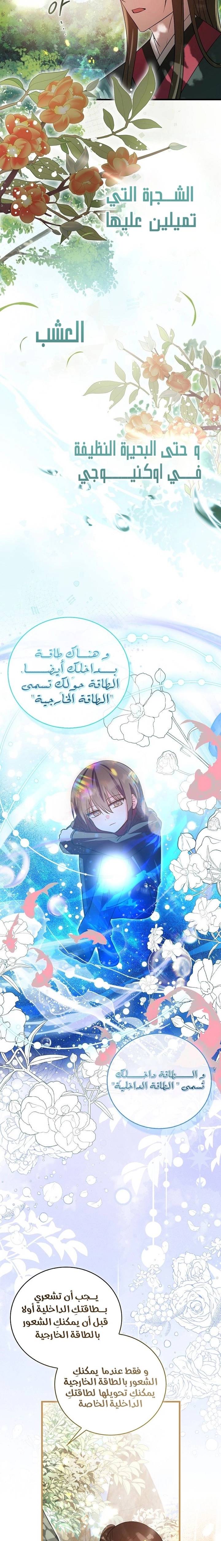 الصفحة 14