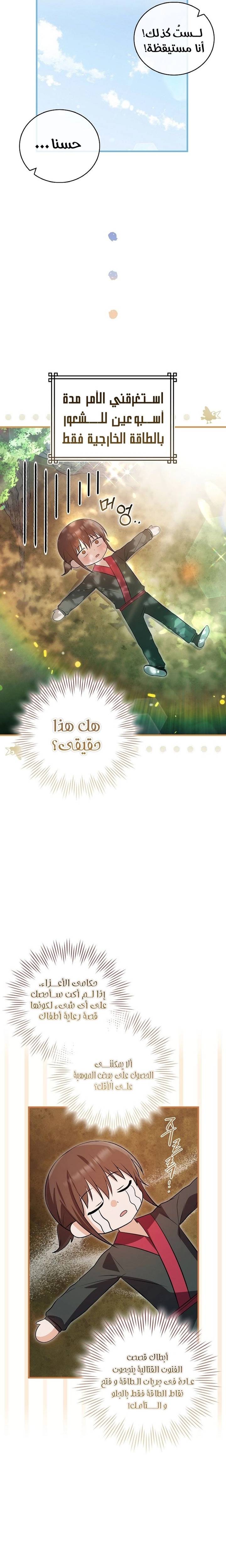 الصفحة 17