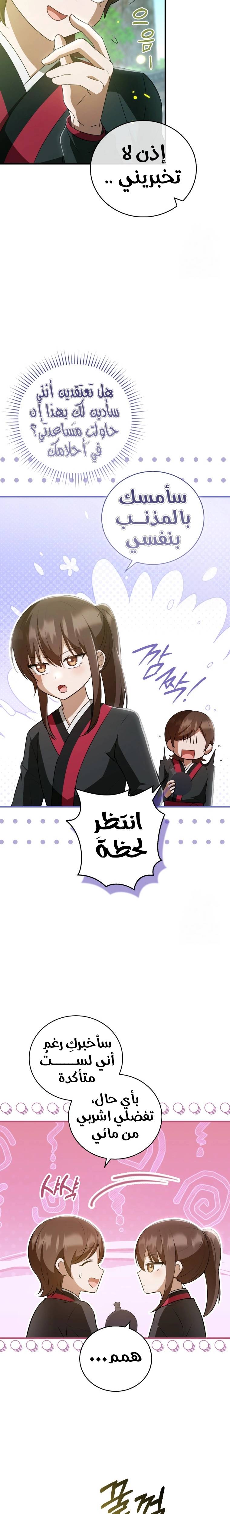 الصفحة 13