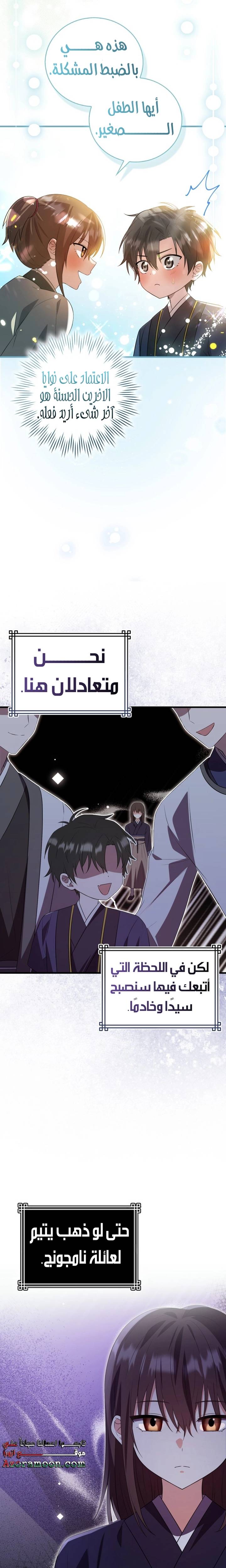 الصفحة 13
