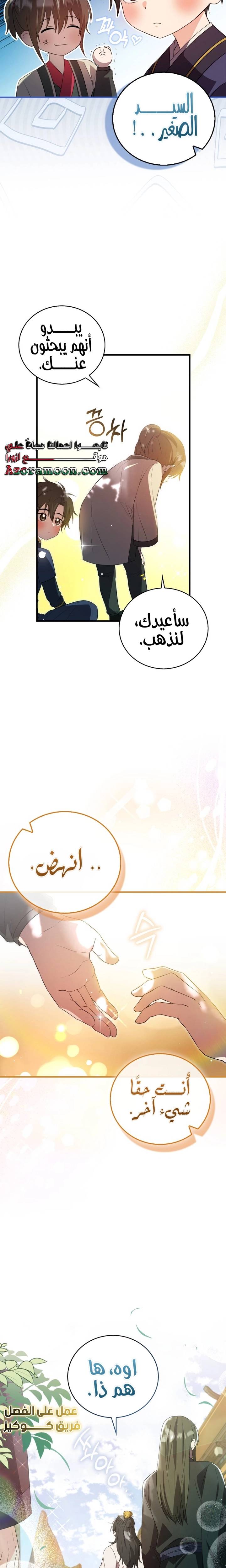 الصفحة 17