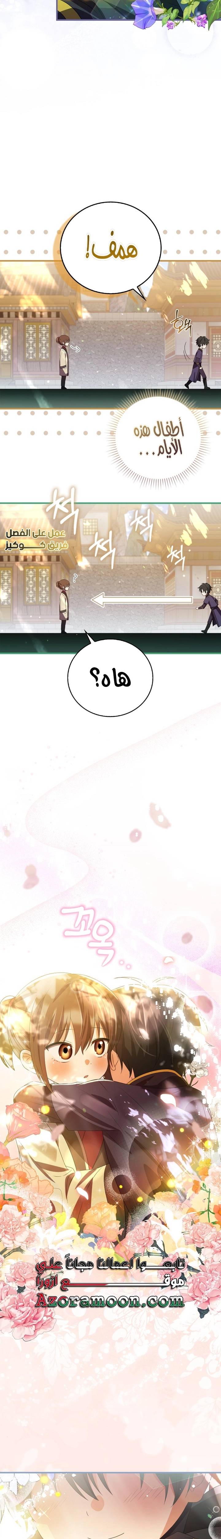 الصفحة 19