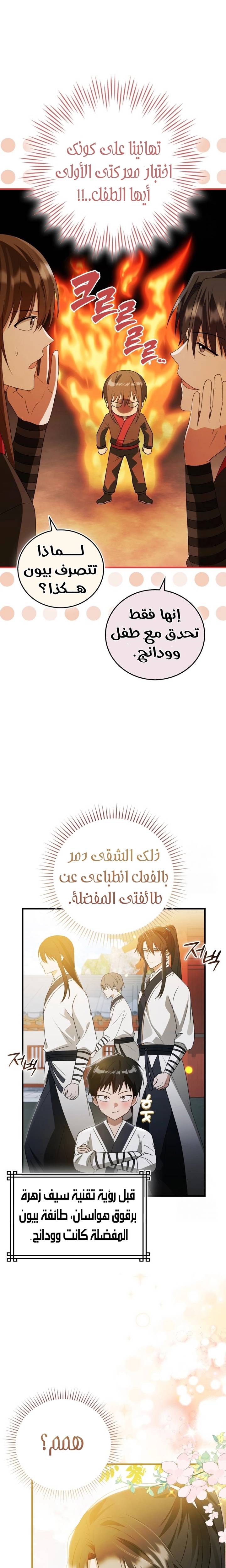 الصفحة 17