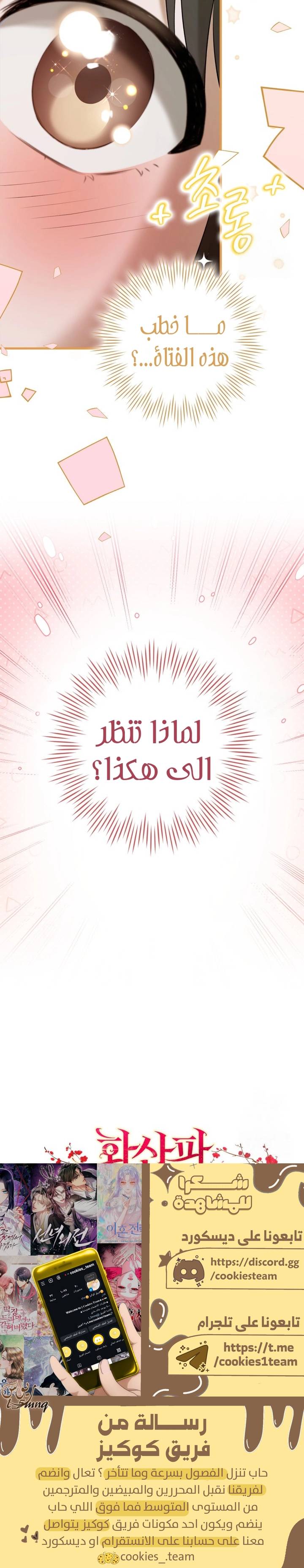 الصفحة 26