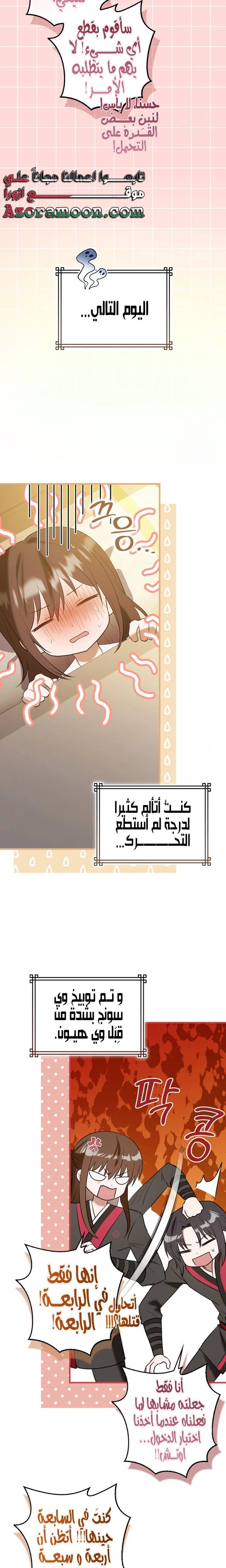 الصفحة 26