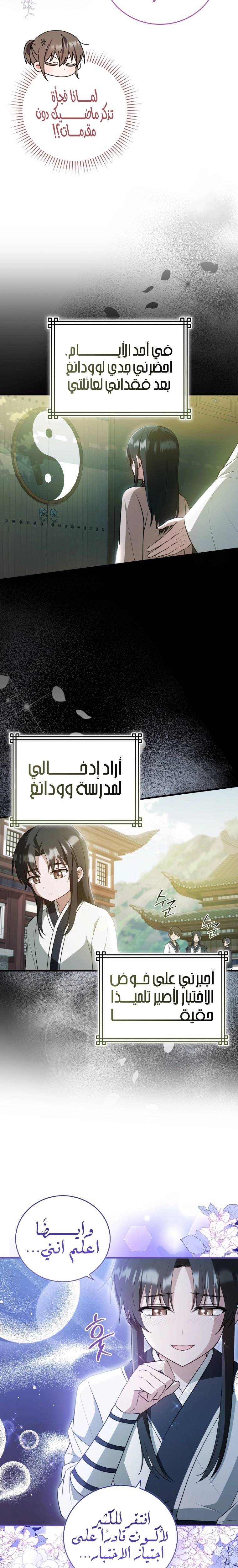 الصفحة 17