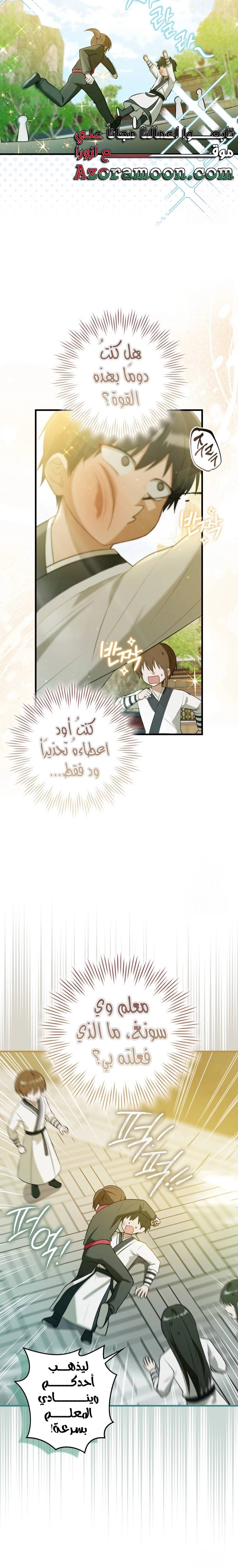الصفحة 17