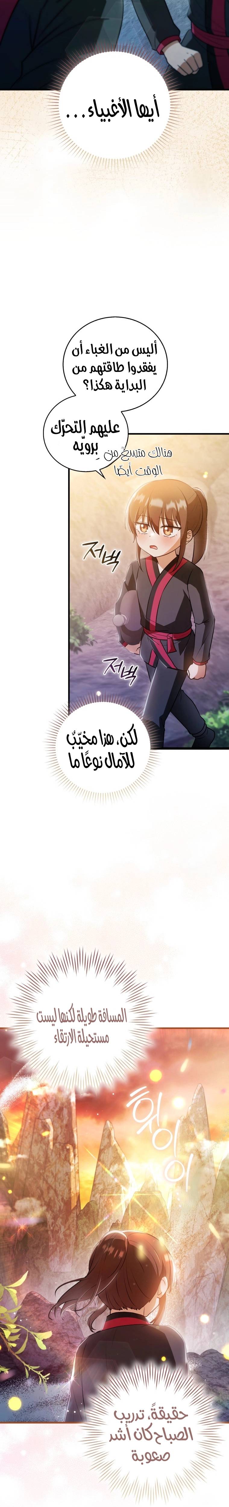الصفحة 17