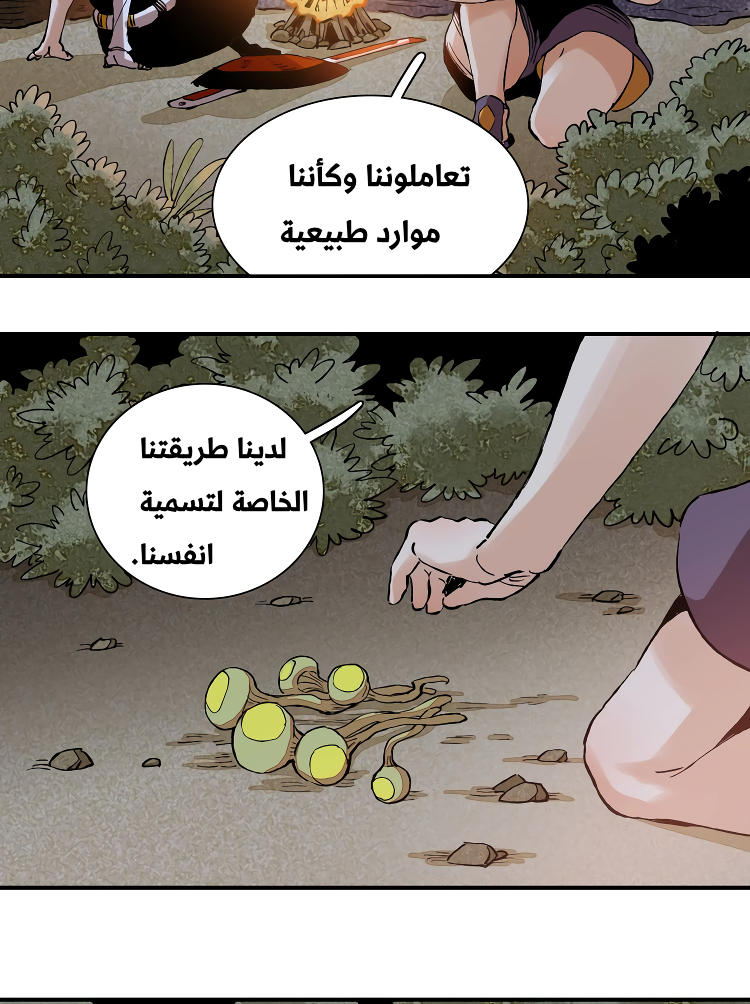 الصفحة 5