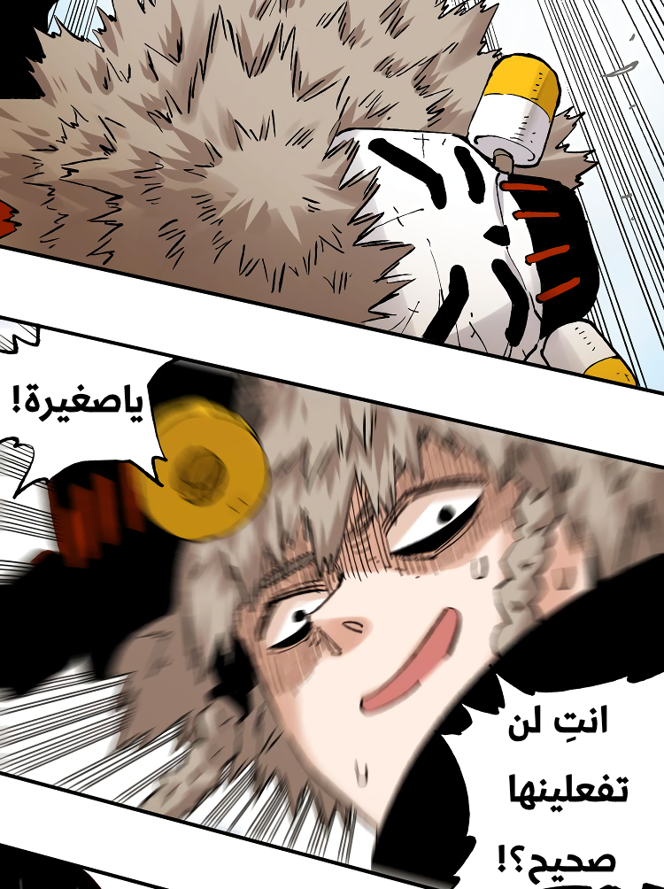 الصفحة 14