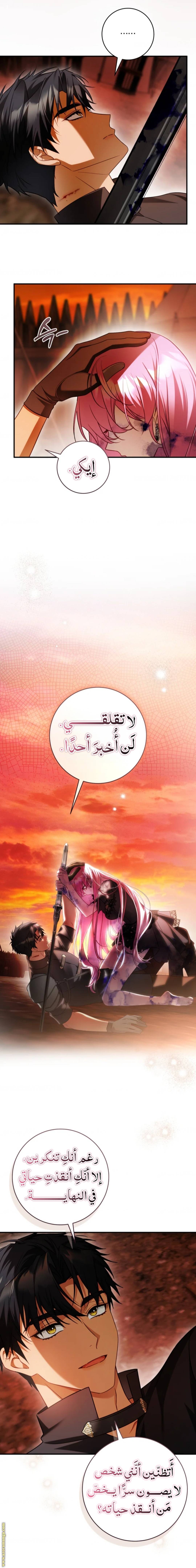 الصفحة 11