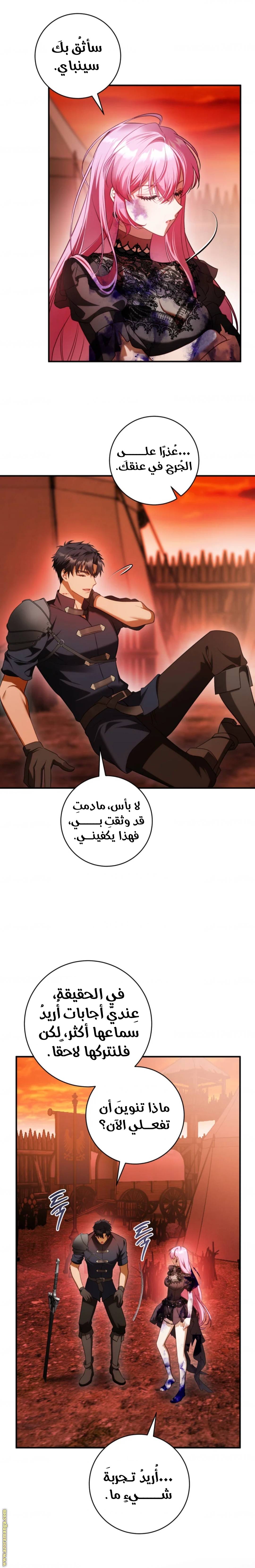 الصفحة 13
