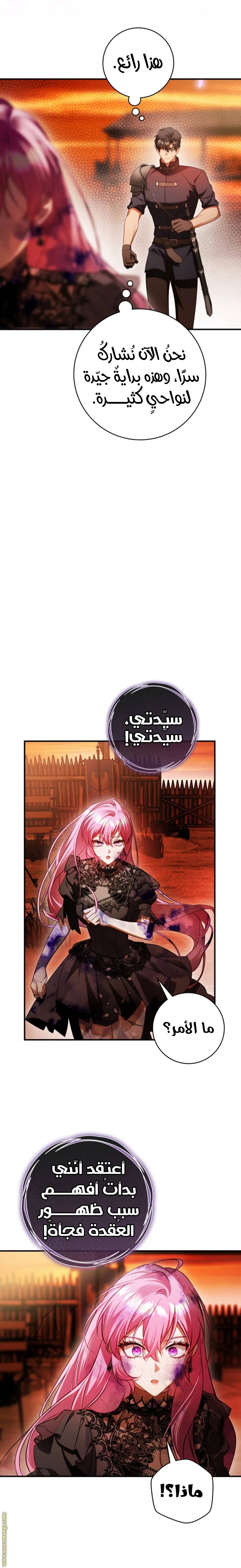 الصفحة 16