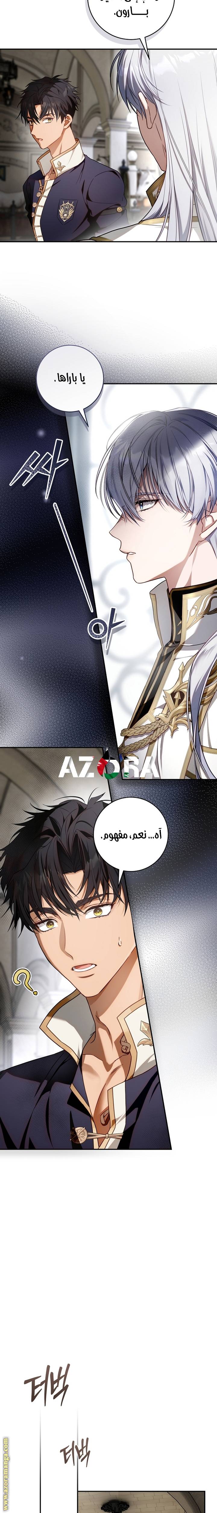 الصفحة 12
