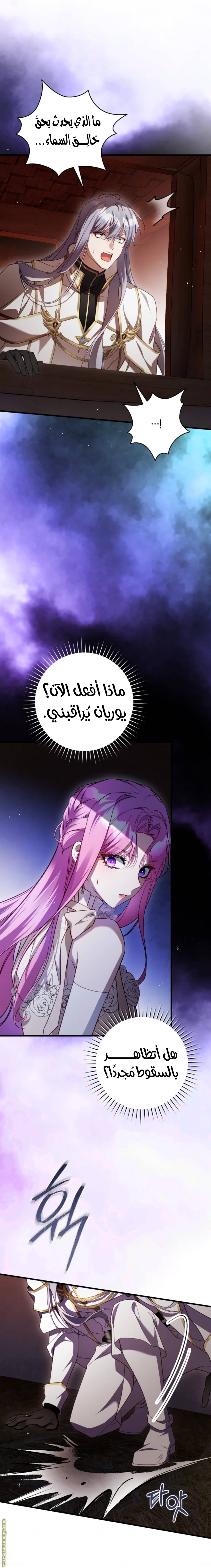 الصفحة 17