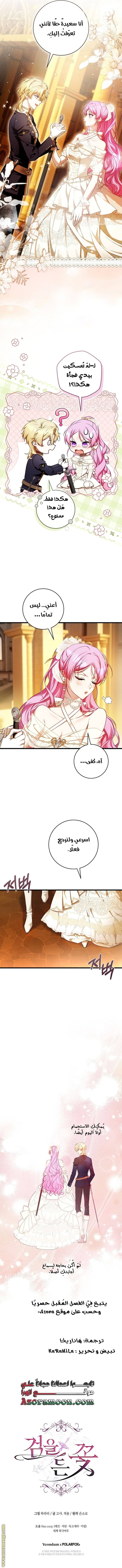 الصفحة 13