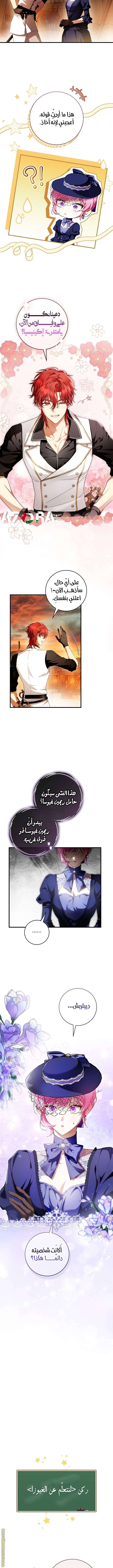 الصفحة 13