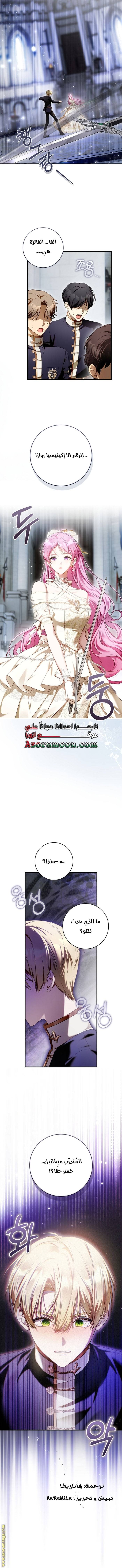 الصفحة 13