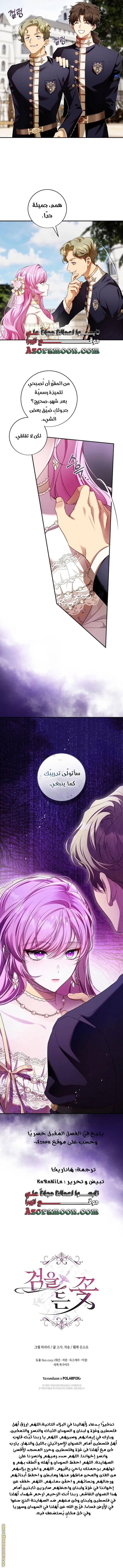 الصفحة 13