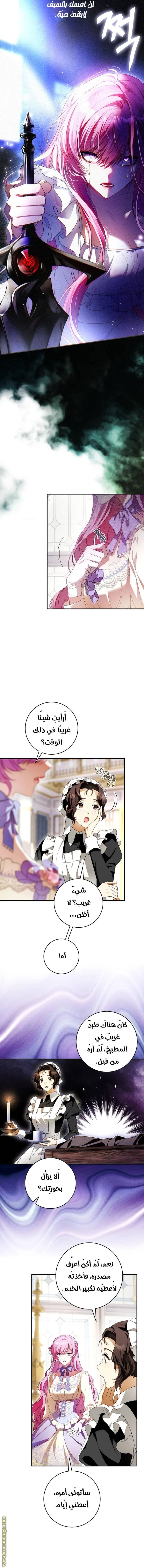 الصفحة 12