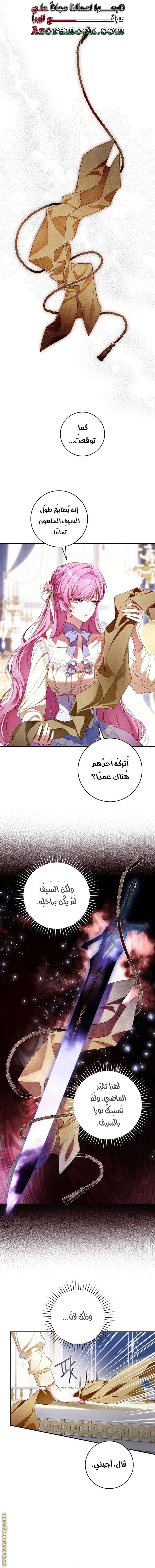 الصفحة 13