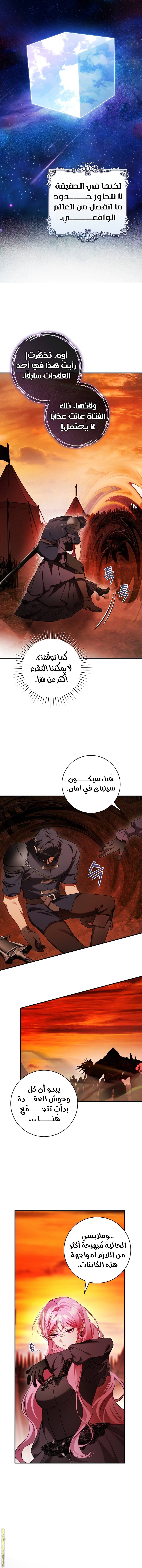 الصفحة 14