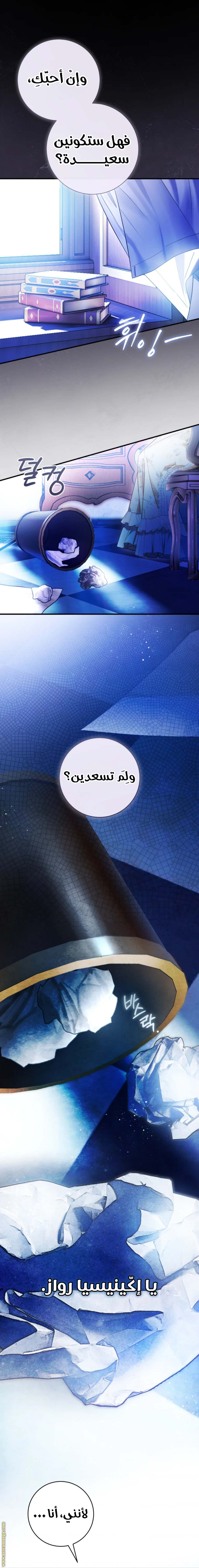 الصفحة 17