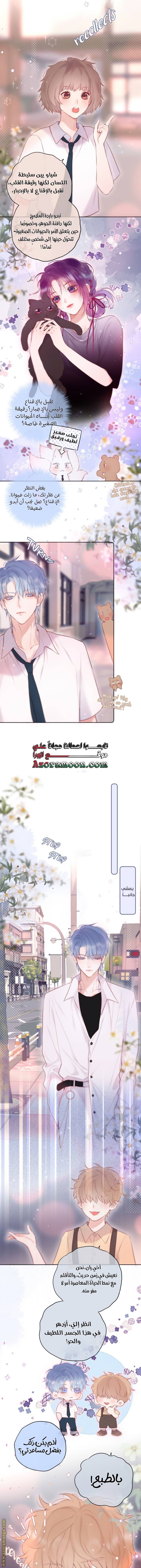 الصفحة 3