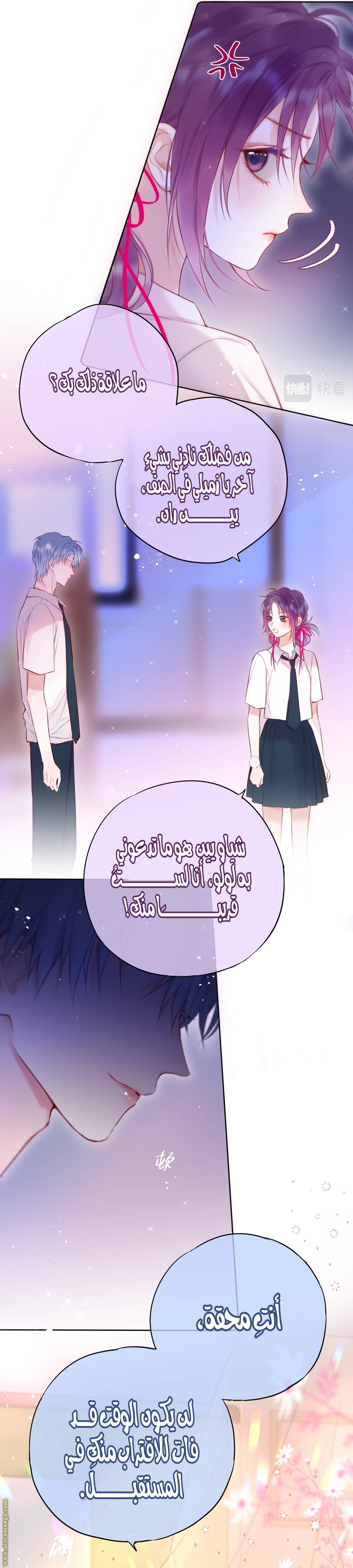 الصفحة 13